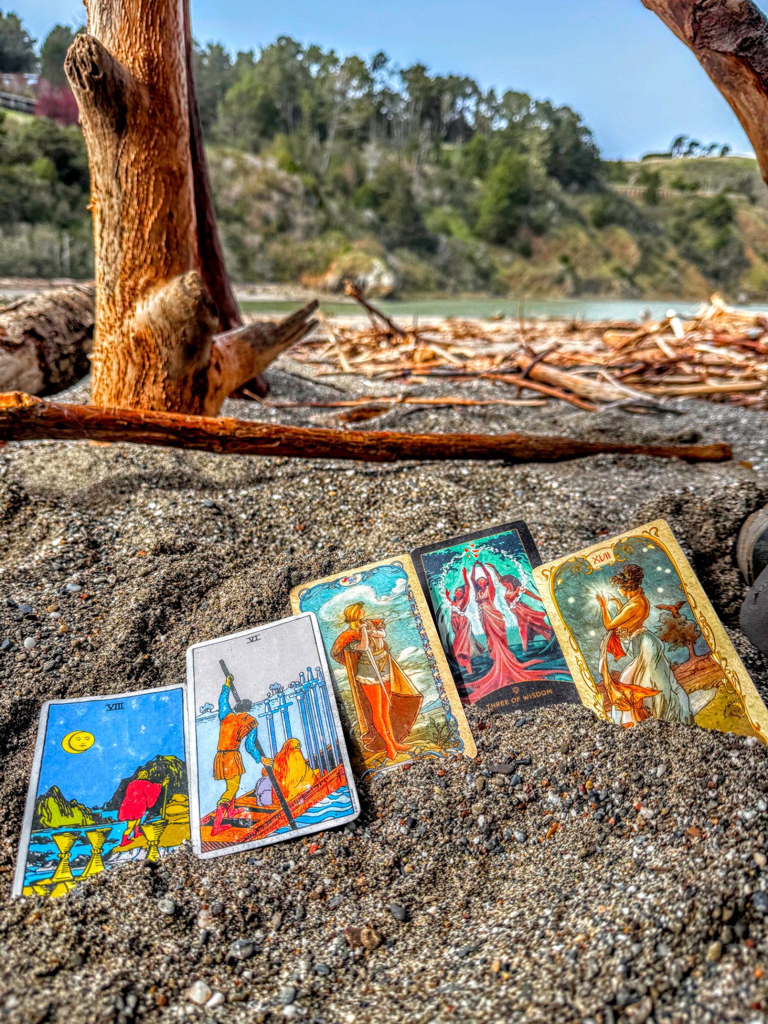 Tarot cards in the black sand on the Humboldt Coast